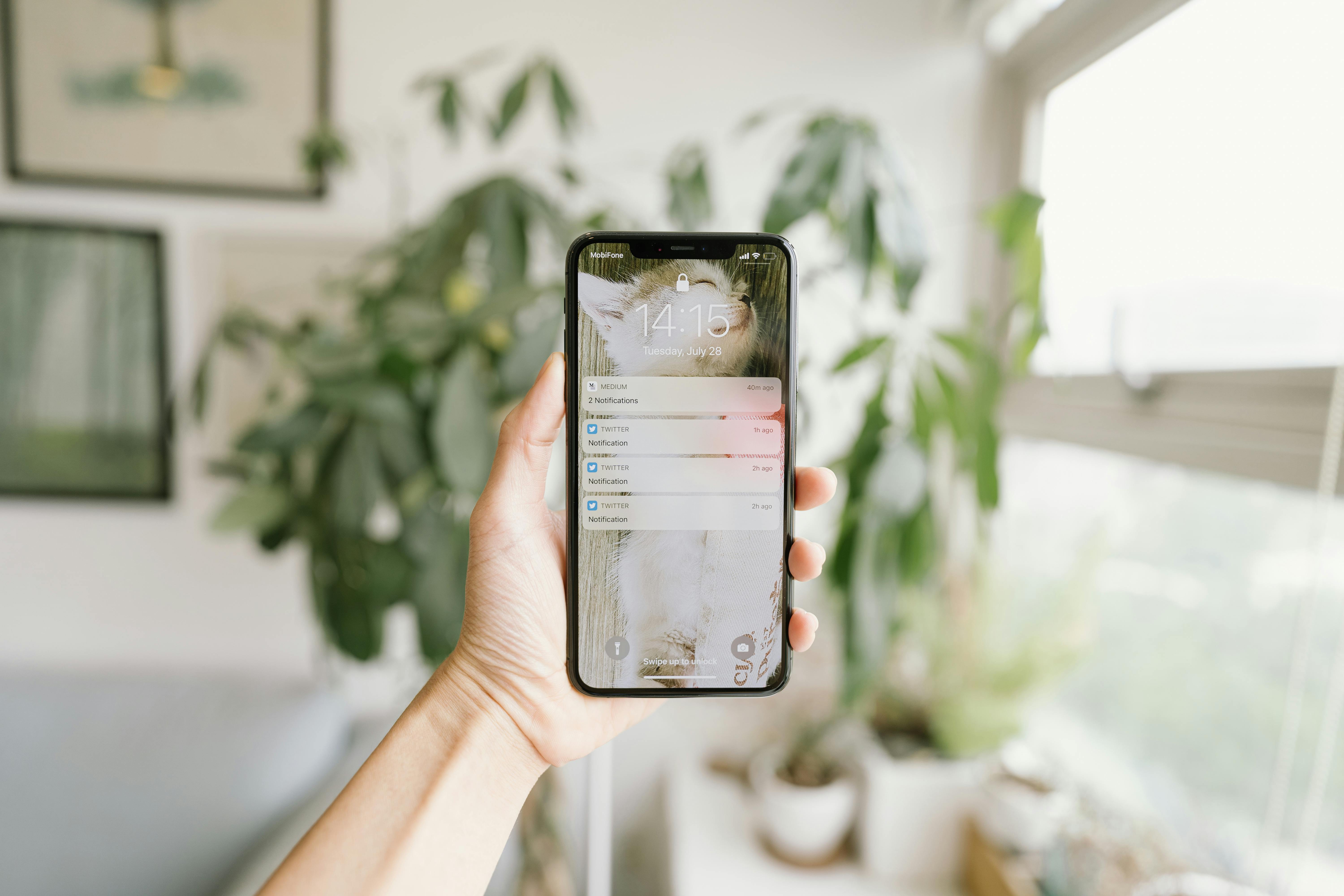 Free A hand holding a smartphone inside a modern, bright room with plants. Stock Photo