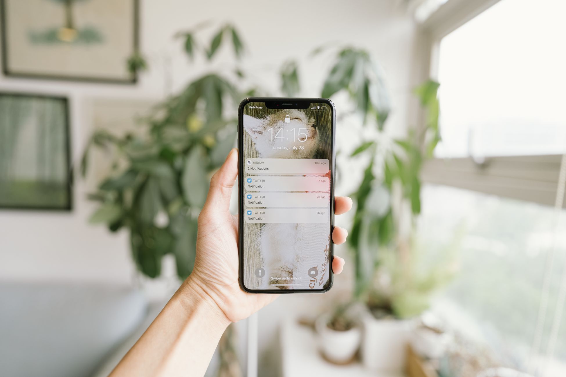 A hand holding a smartphone inside a modern, bright room with plants.
