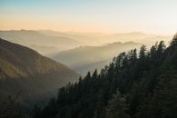 日出时分，云雾缭绕的山脉与森林令人叹为观止，尽显大自然的壮美
