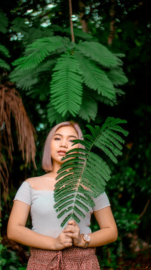 Kostenloses Stock Foto zu asiatische frau, baum, blätter