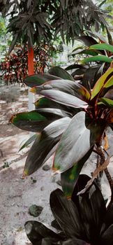 Image by MD ARIF