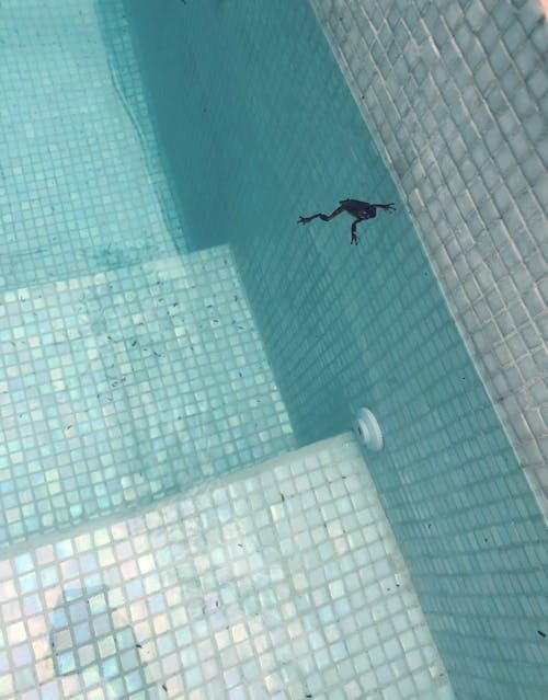 Free stock photo of agua, azul claro, piscina