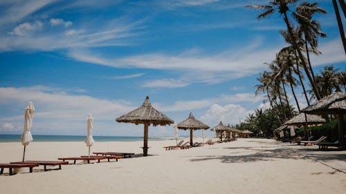 View of Lounge Chairs and Umbrellas on the Beach on a Sunny Day 