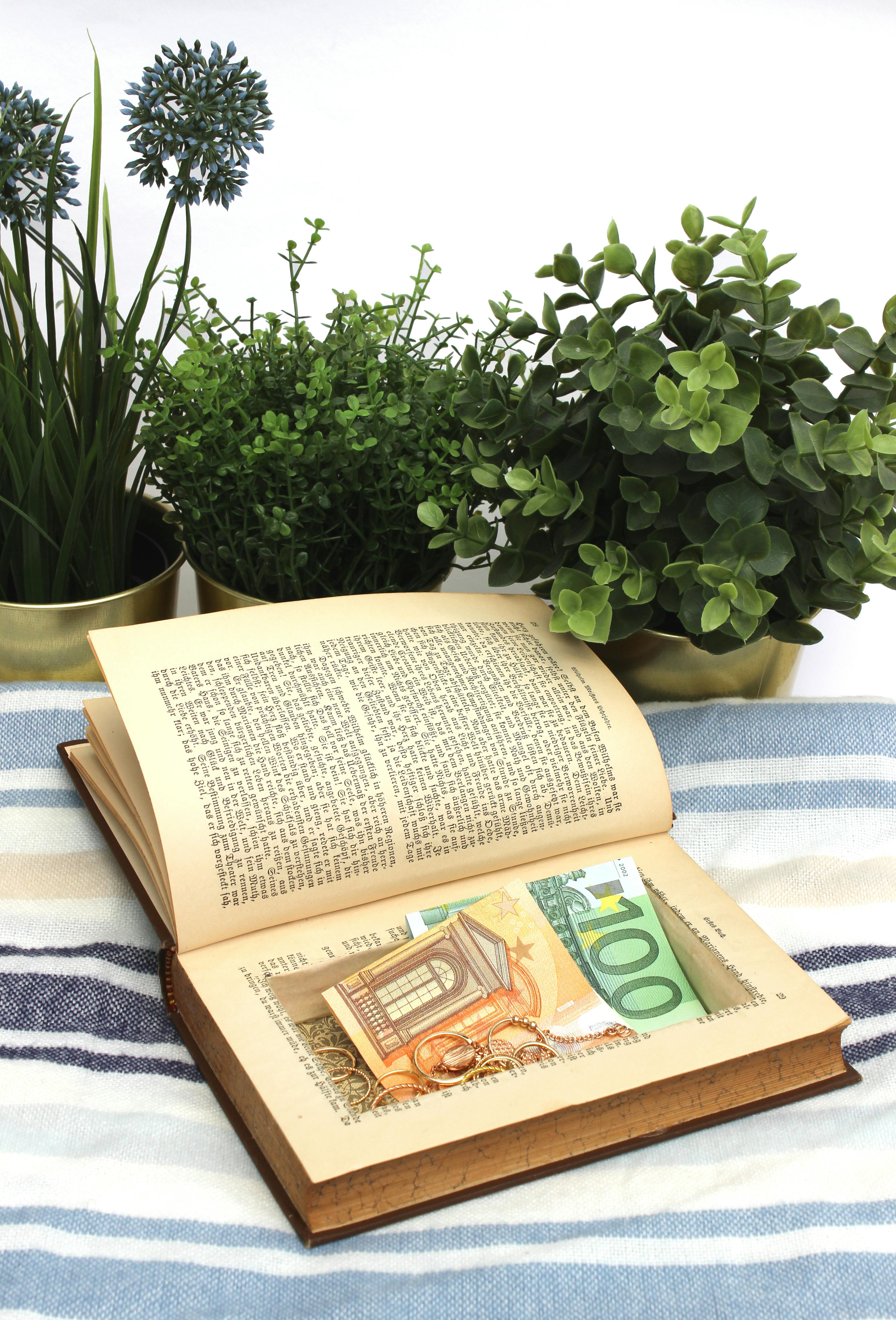 An open book with euro currency notes tucked inside, surrounded by green potted plants on a striped cloth.