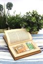 White Book on Blue and White Textile