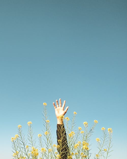 Free Woman in Black and Brown Long Sleeve Shirt Raising Her Hands Stock Photo