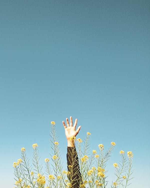 Woman in Black and Brown Long Sleeve Shirt Raising Her Hands