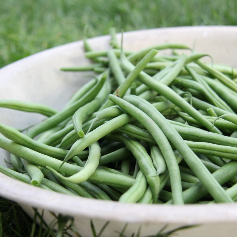 Classic Green Bean Casserole