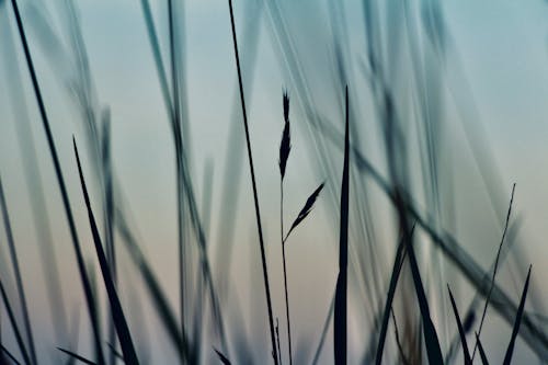 Gratis stockfoto met abstract, dageraad, fotografie