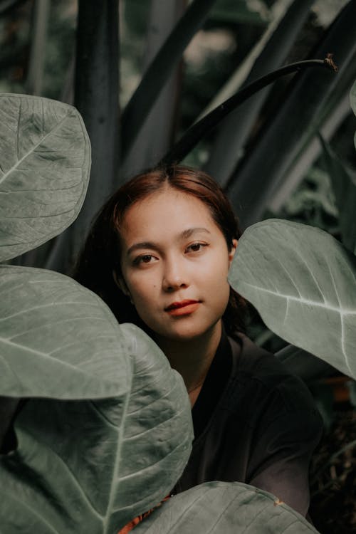 Безкоштовне стокове фото на тему «азіатська жінка, ботаніка, Ботанічний»