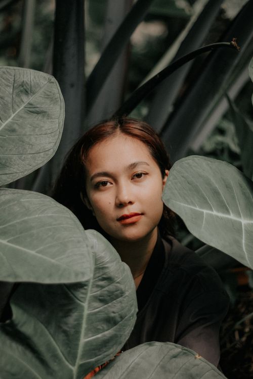 Free Serious Asian female sitting among exotic plants with big leaves and looking at camera Stock Photo
