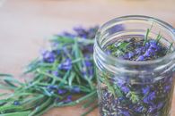 Green and Purple Leaves in Clear Glass Jar