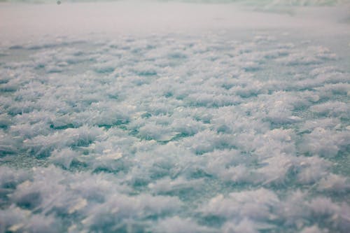 buzlanmış, Desen, doğa içeren Ücretsiz stok fotoğraf