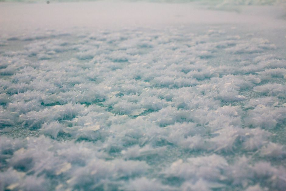 A detailed view of intricate frost crystals covering a frozen surface in winter, showcasing nature's delicate artistry.