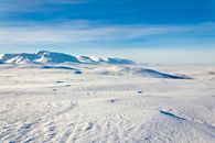 Barren Landscape of Snow