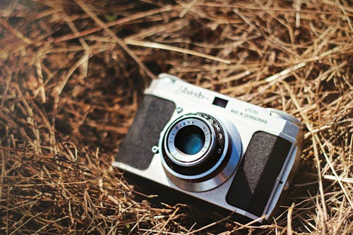 Free Black and Silver Point and Shoot Camera on Brown Grass Stock Photo