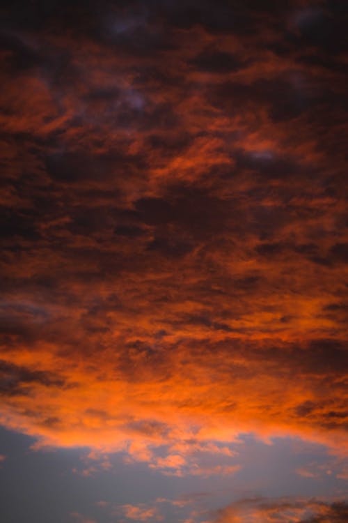 From below or thick orange fluffy clouds floating in picturesque sky at sunset