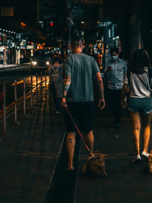 Free Back view of anonymous informal tattooed guy in casual clothes walking on street with dog on leash at night Stock Photo