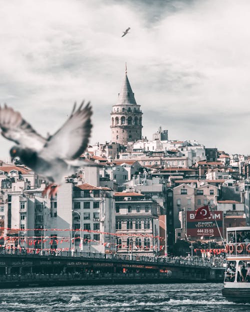 Free View if the Galata Tower from the Bay Stock Photo