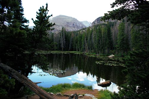 Free Beautiful mountain lake with clear reflections, surrounded by pine trees in Cody, Wyoming. Perfect nature escape. Stock Photo