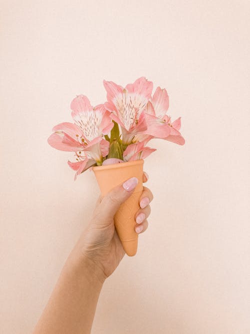 Crop anonymous female demonstrating bunch of fresh pink flowers in waffle against beige background