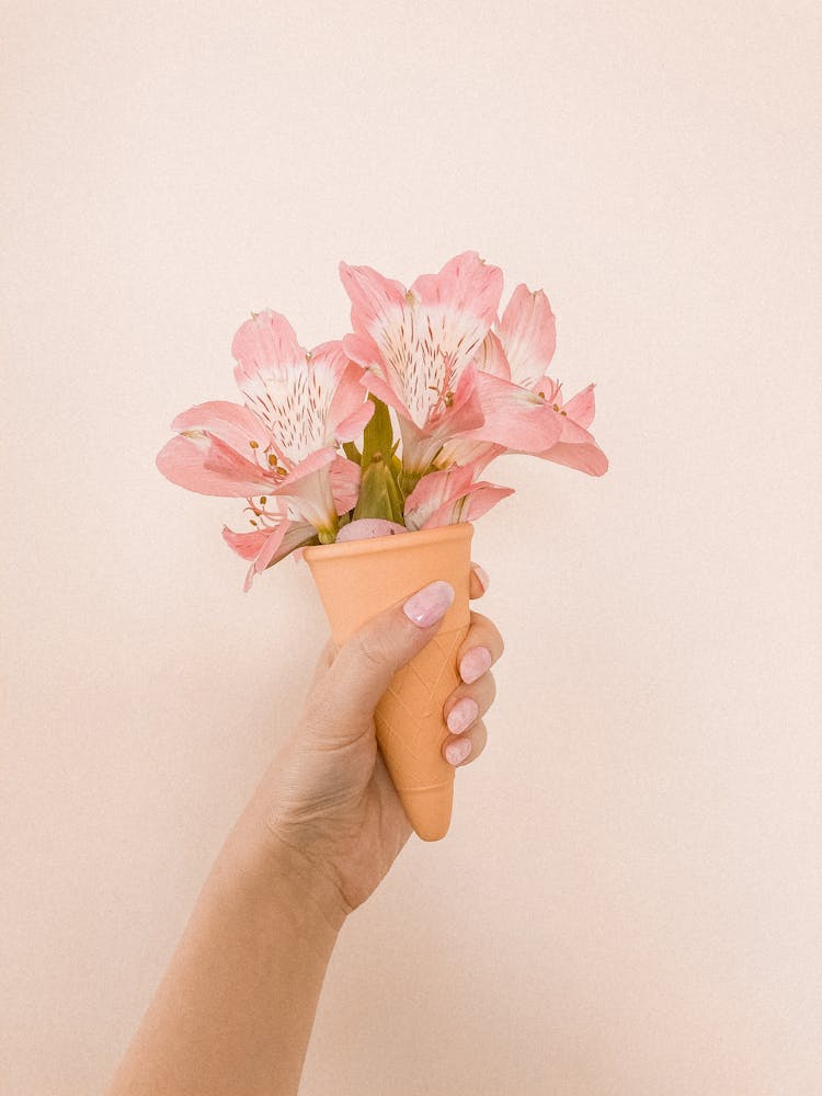 Hand Holding Fresh Flower In Waffle