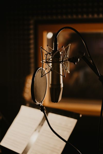 Studio microphone and pop filter — Tima Miroshnichenko on Pexels