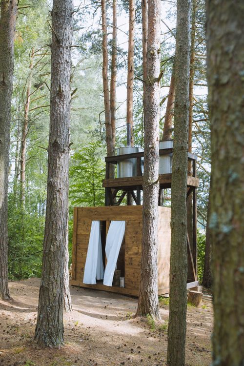 Free Rustic wooden cabin nestled amidst tall trees, ideal for glamping in a serene forest. Stock Photo