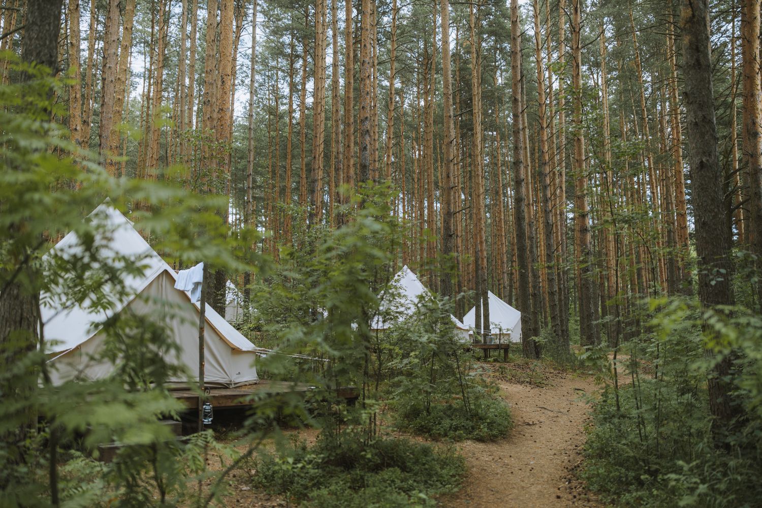 Streamside Buys Maine Glamping Resort, Hits 40 US Sites