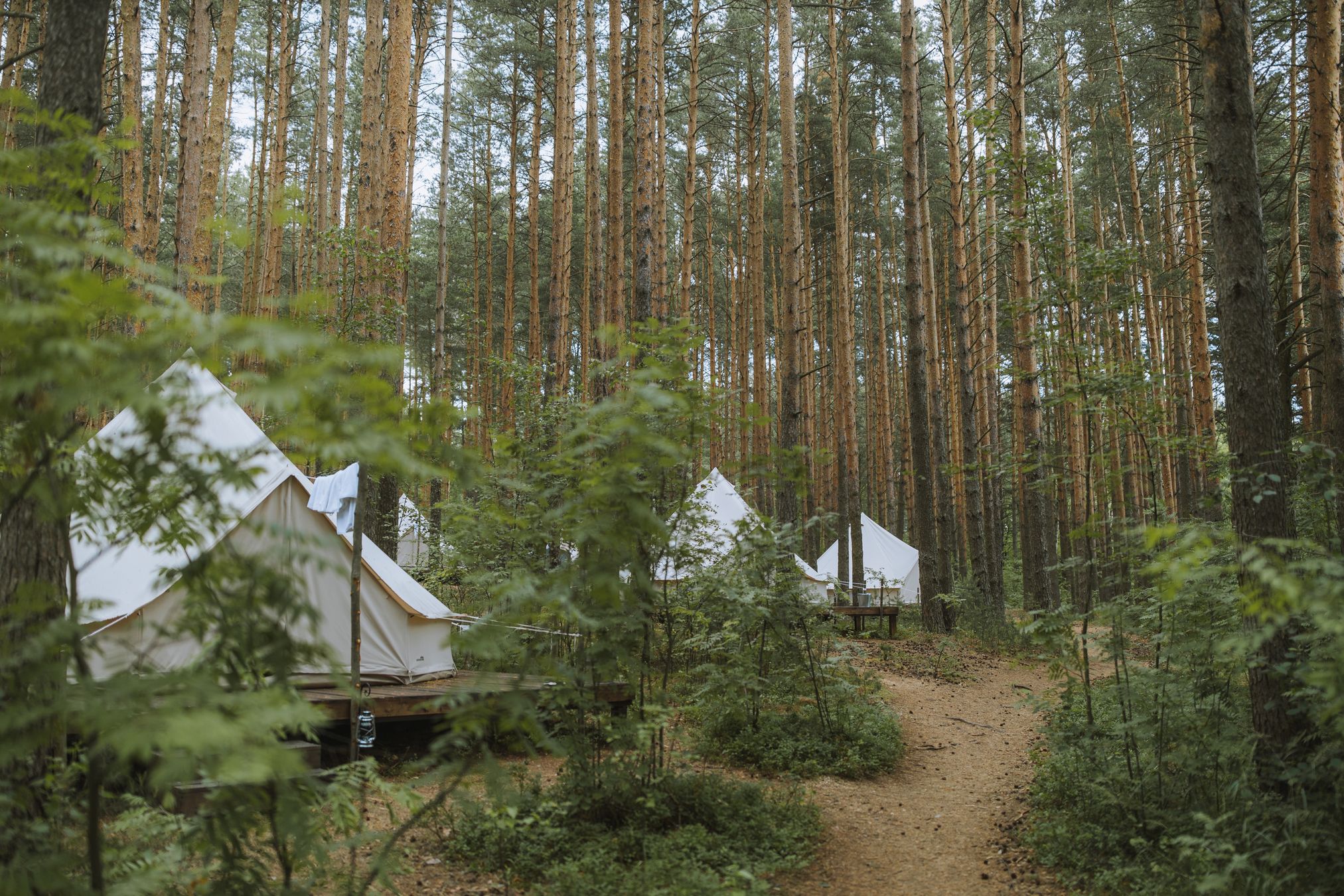 Streamside Buys Maine Glamping Resort, Hits 40 US Sites