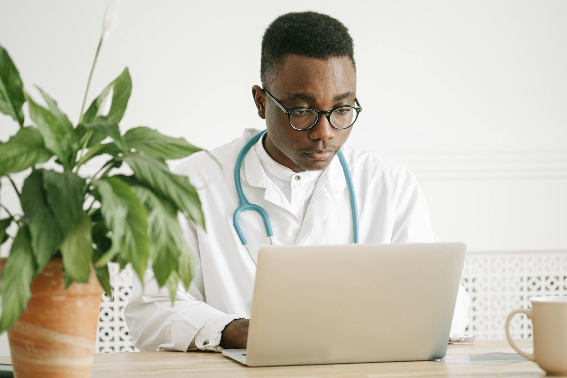 African American doctor working on a laptop in a bright office setting with potted plant.