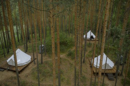 Free Aerial shot of glamping tents amidst tall pine trees in Tver Oblast forest, Russia. Stock Photo