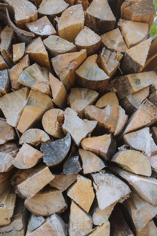 Close-up of a Pile of Firewood
