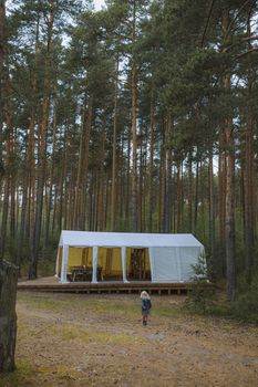 A young child walks towards a large tent in a tranquil pine forest setting, embracing nature.