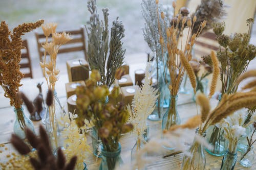 Dried Ornamental Flowers and Plants on Glass Bottles