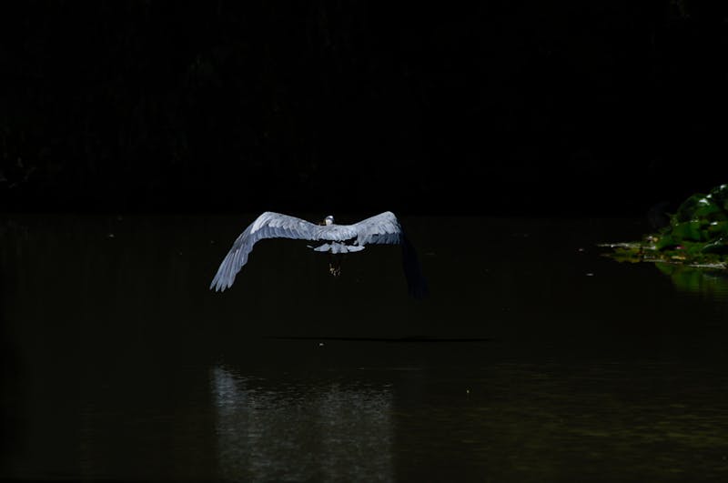 منظم أدراج شفاف متعدد الأقسام