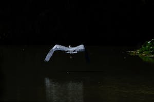 علب ومنظمات