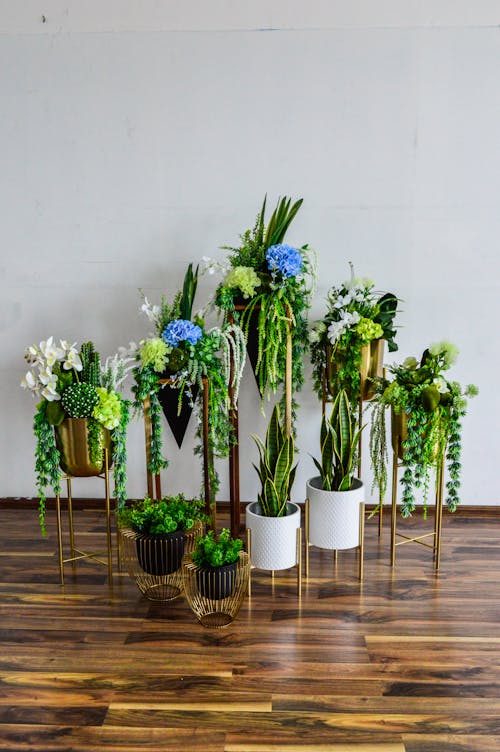 Ilmainen kuvapankkikuva tunnisteilla kasvit, koristelut, pystysuuntainen laukaus