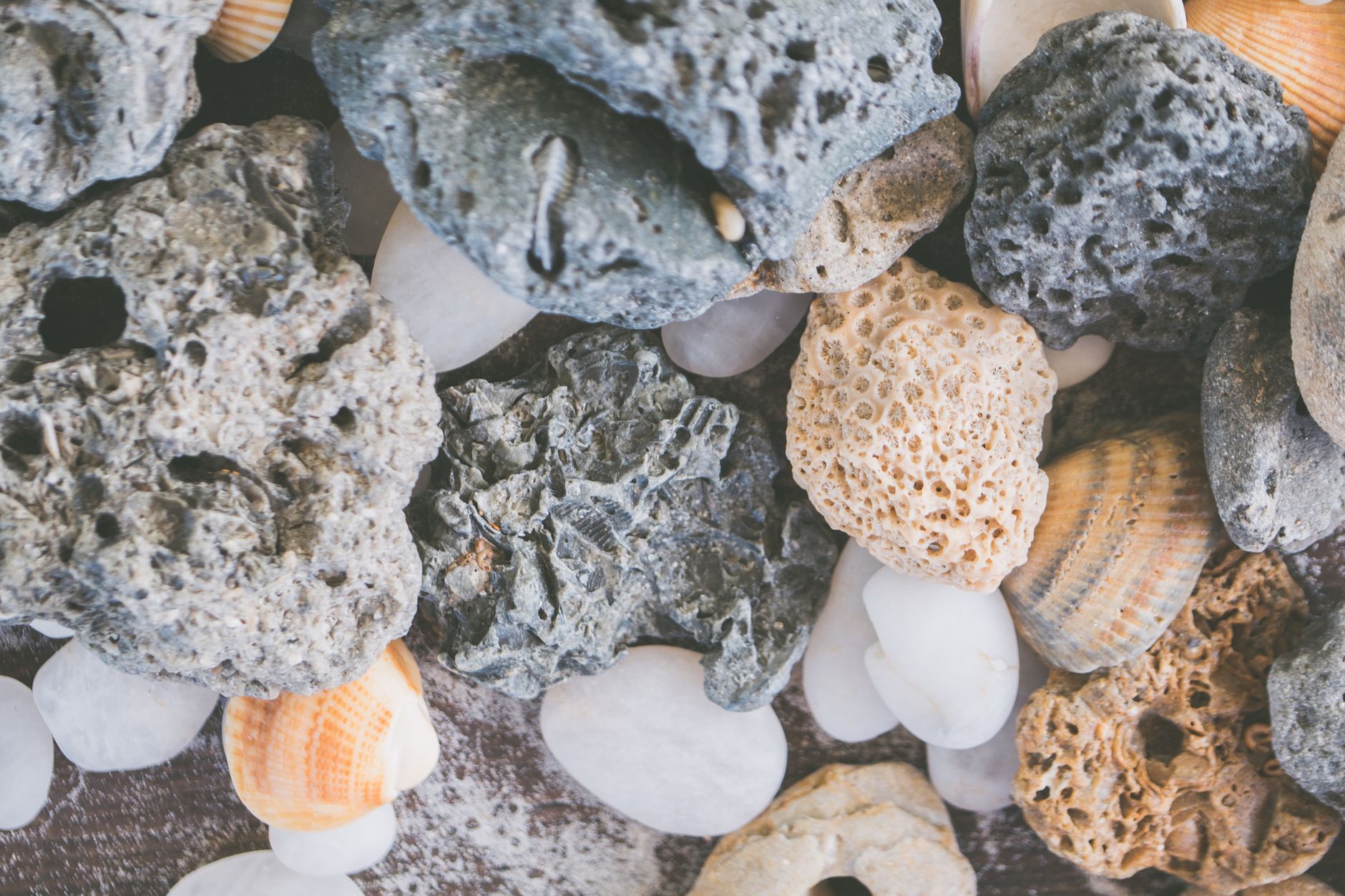 Understanding the Different Types of Kidney Stones