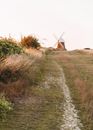 Mill in countryside on sunny day