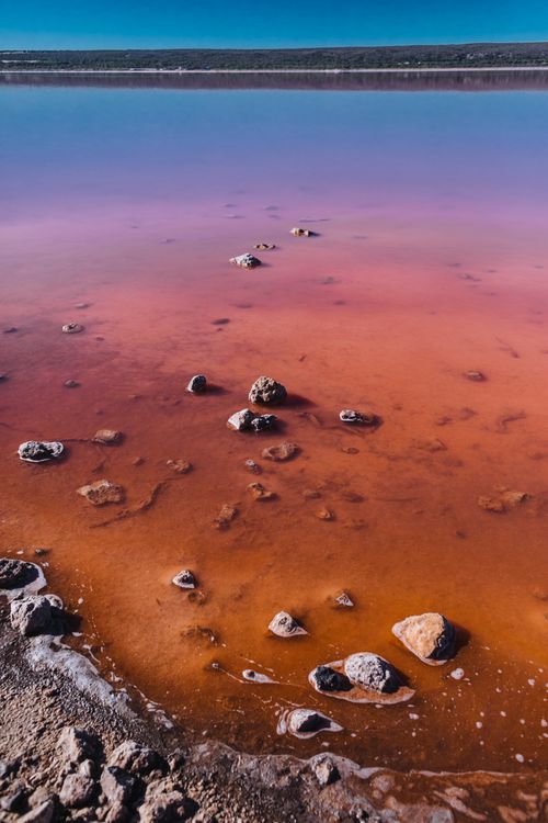 Free From above of calm lake with multicolored water under cloudless blue sky in sunny day Stock Photo