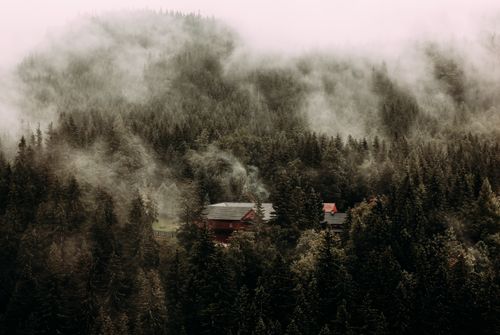 Free Wooden cottage located among dense forest with evergreen trees under gloomy misty sky Stock Photo