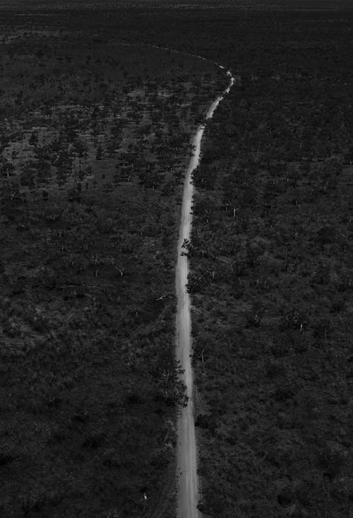 Black and white drone view of long narrow road running through flooded terrain with dense woods
