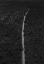 Black and white drone view of long narrow road running through flooded terrain with dense woods