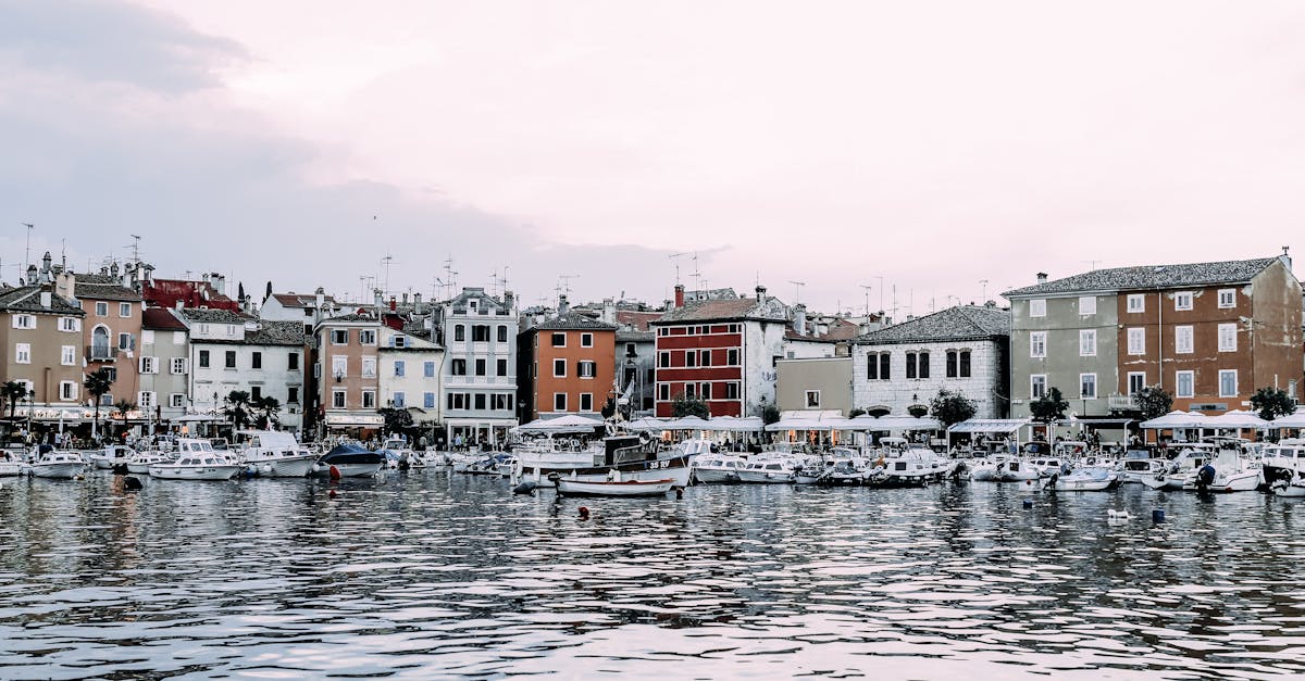 The Keeper's Shadow 1 image text