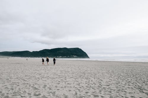 People walking on sandy beach