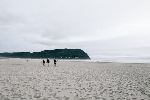 Immagine gratuita di acqua, ambiente, argine