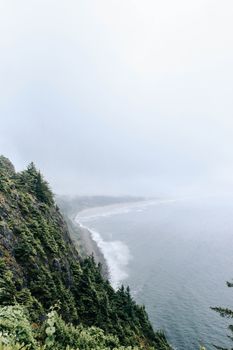 晴朗天空下的薄雾中，无人机拍摄到近海山坡上生长的绿树景观