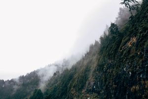 Fog over a wooded coastal slope, by Rachel Claire on Pexels