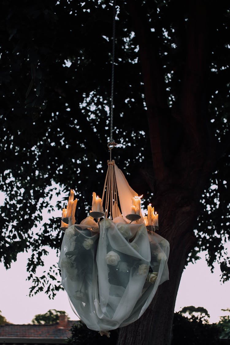 Candle Chandelier Hanging On Tree